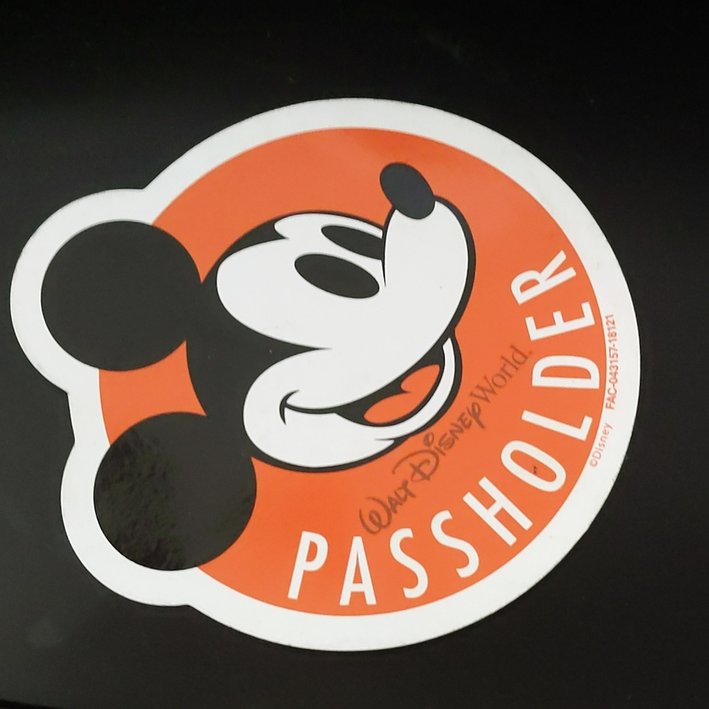 Disney pass holder magnet